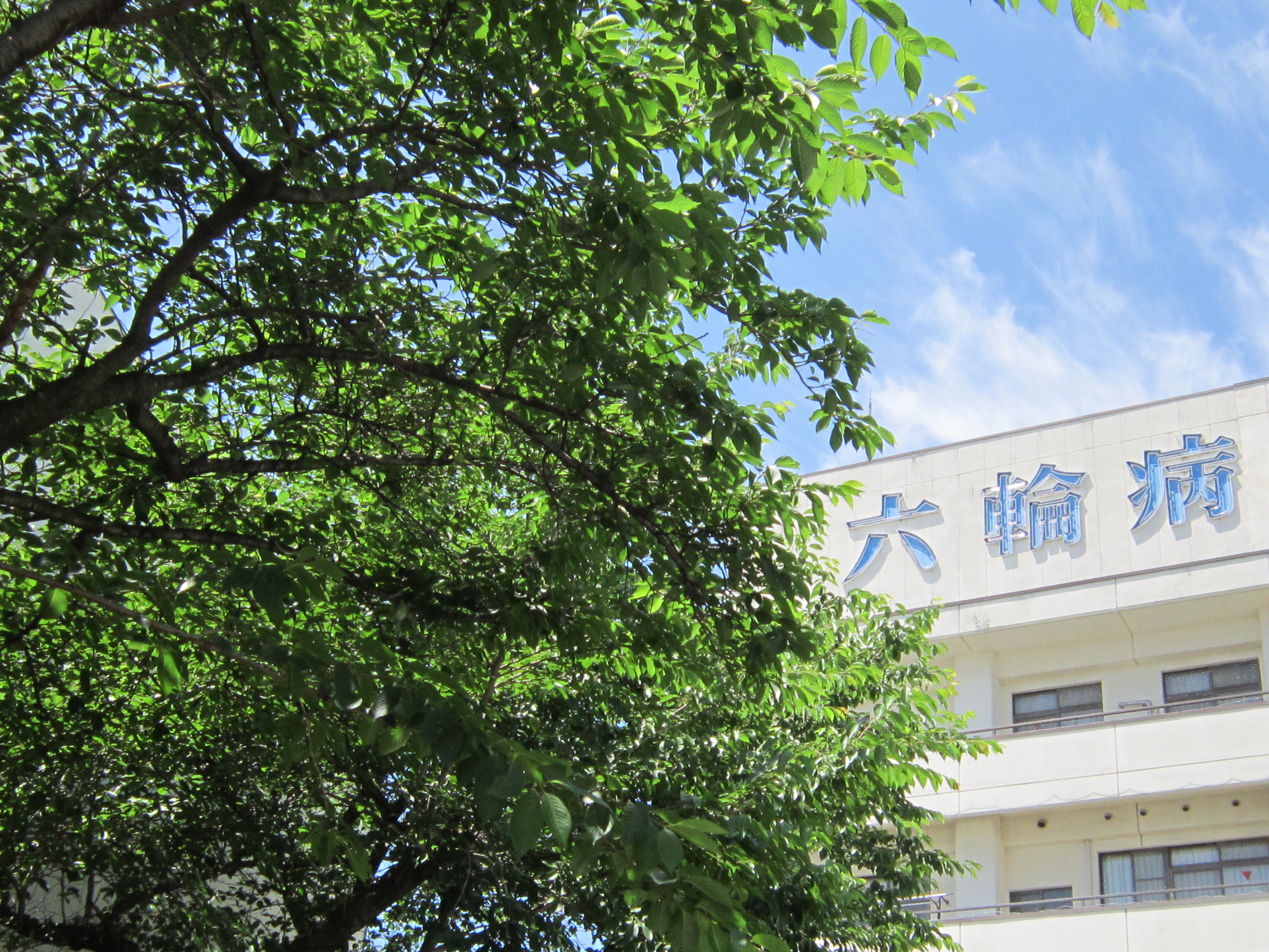 六輪病院 の写真