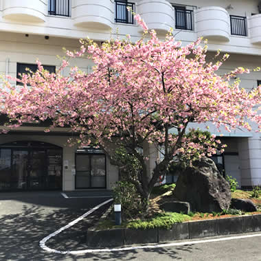 特別養護老人ホーム彩幸　医務室 の写真