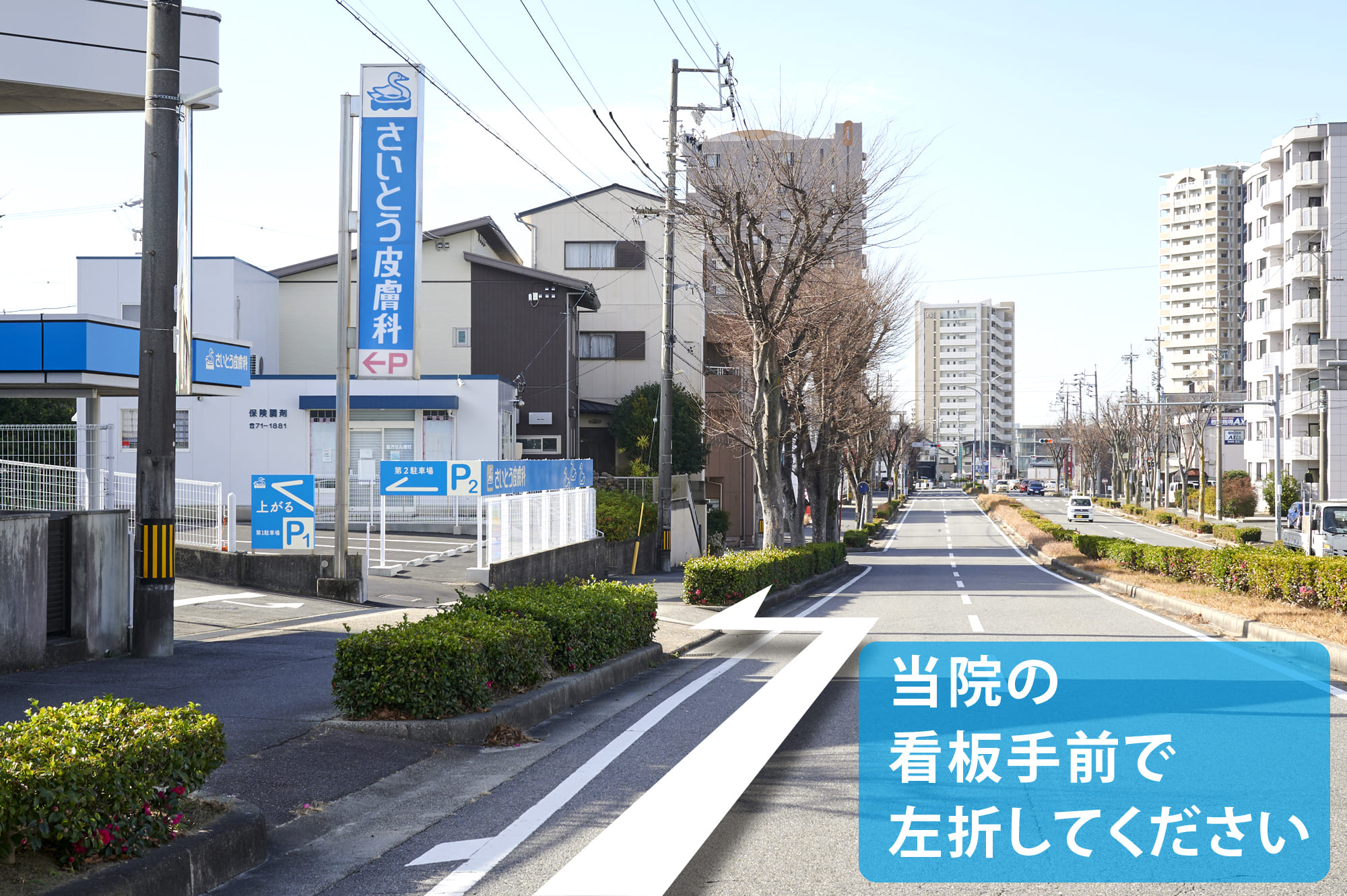 公式案内画像
