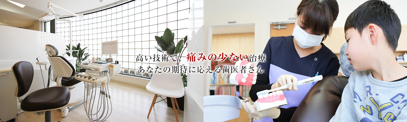 公式案内画像
