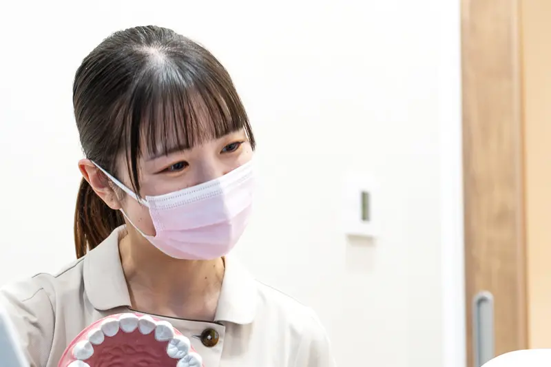 公式案内画像