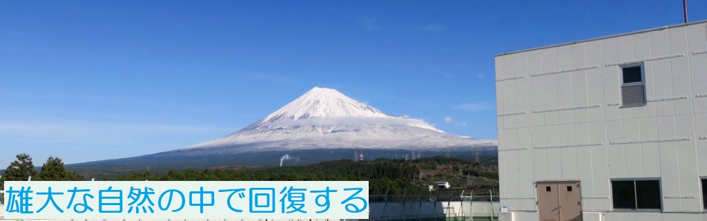 公式代表画像