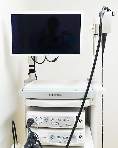 公式案内画像
