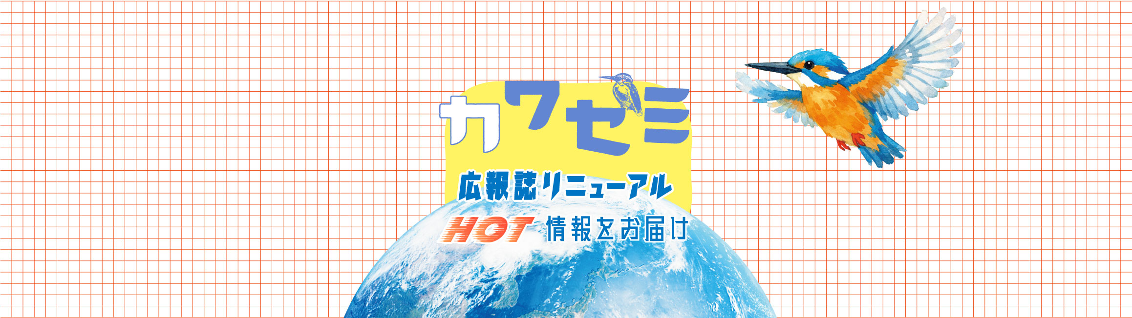 公式案内画像