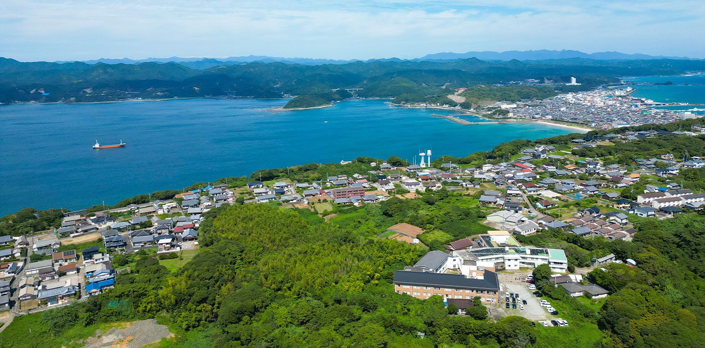 公式案内画像