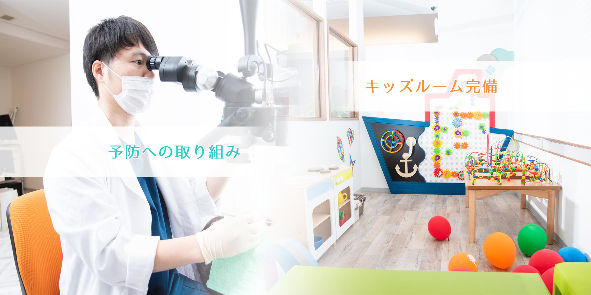公式案内画像