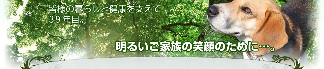 いとう薬局 の写真