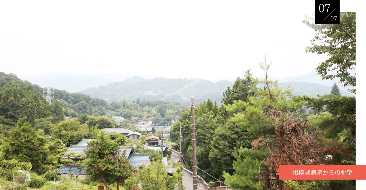 公式案内画像