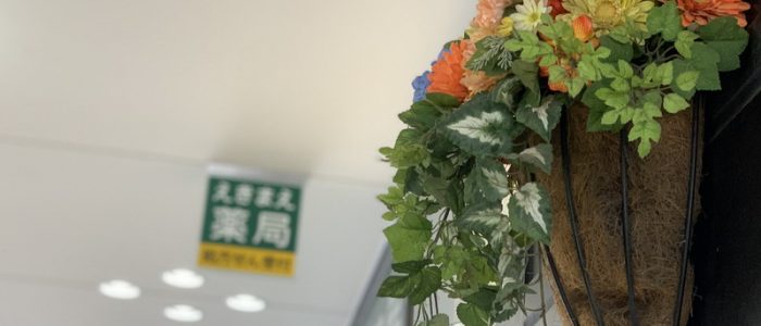 公式案内画像