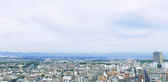 公式案内画像