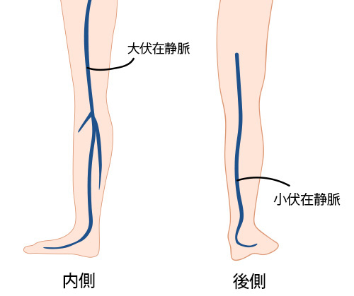 立川静脈瘤クリニック の写真