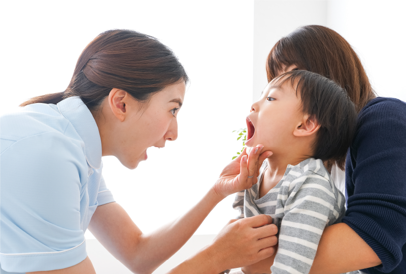 公式案内画像