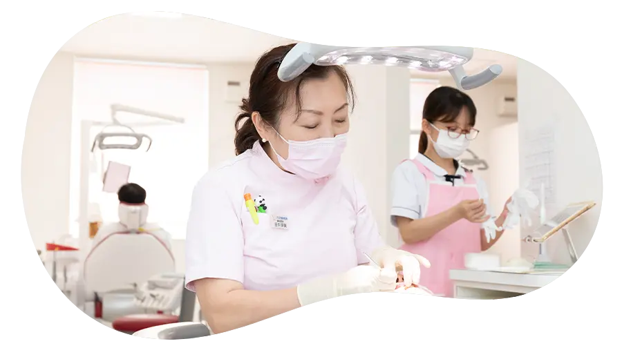 公式案内画像