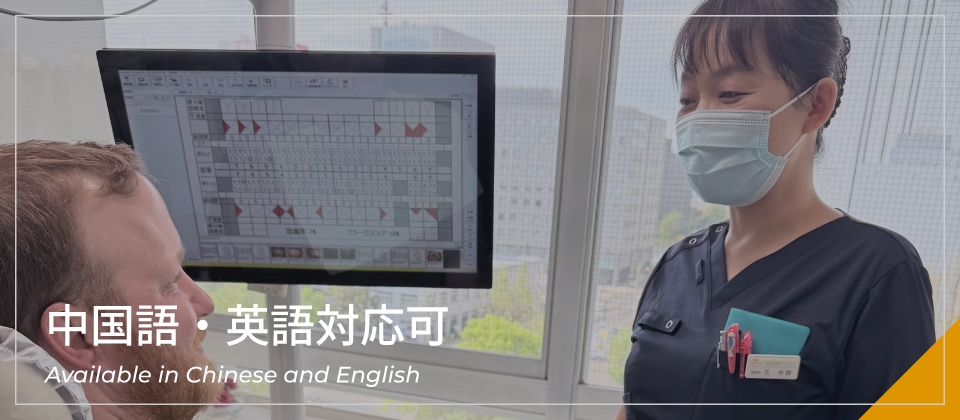 公式案内画像
