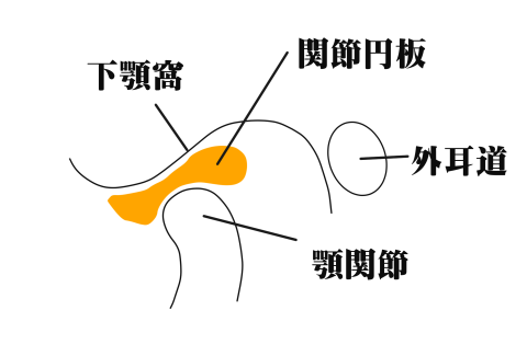 公式案内画像