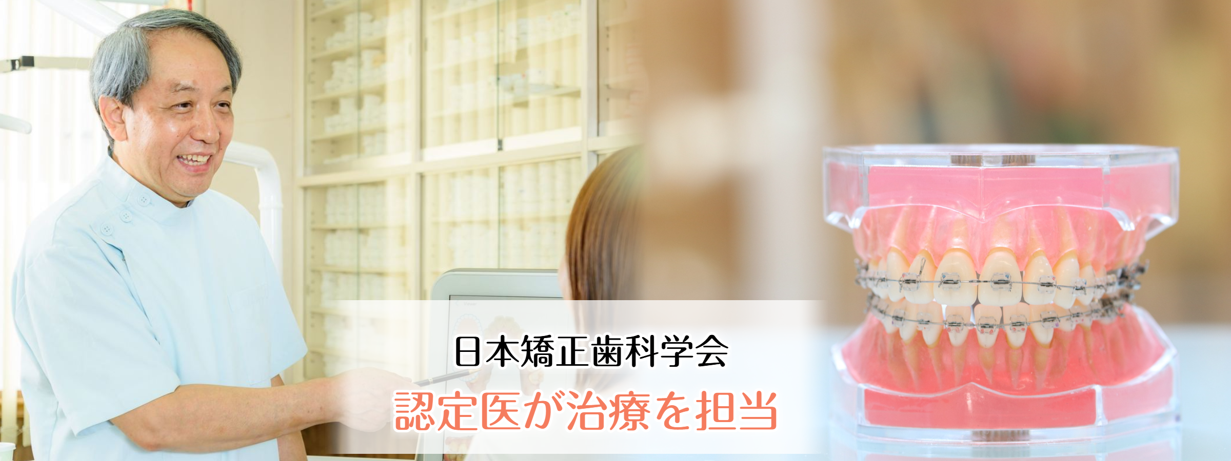 公式案内画像
