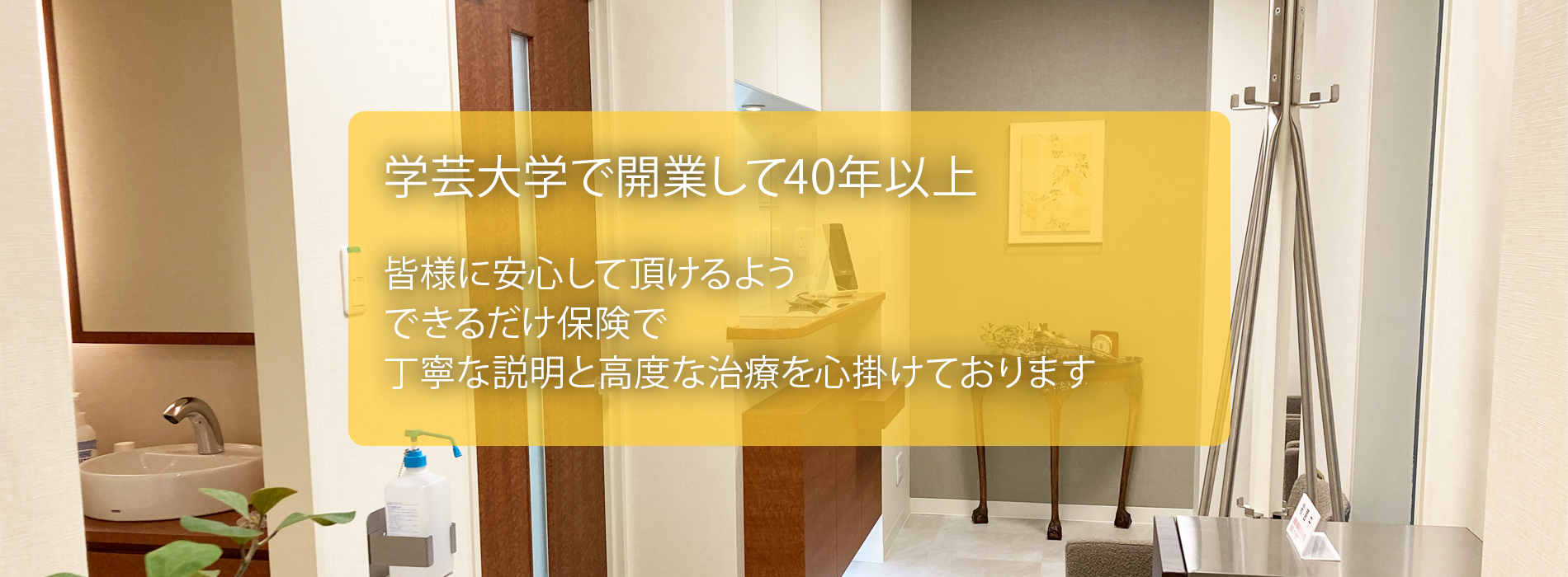 公式案内画像