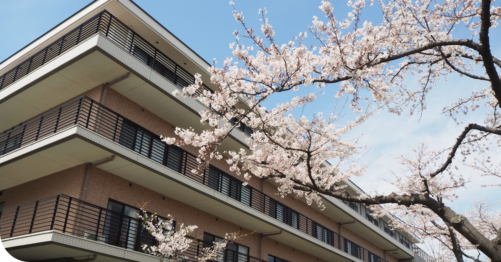 タムスさくら病院江戸川 の写真