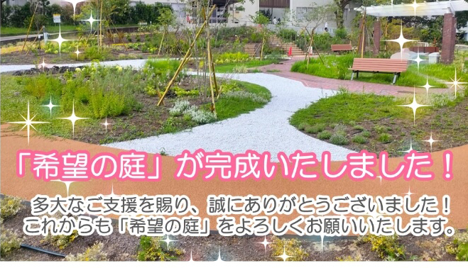 公式案内画像