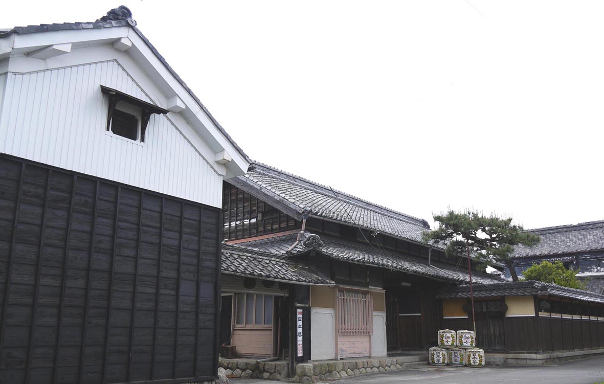 公式案内画像