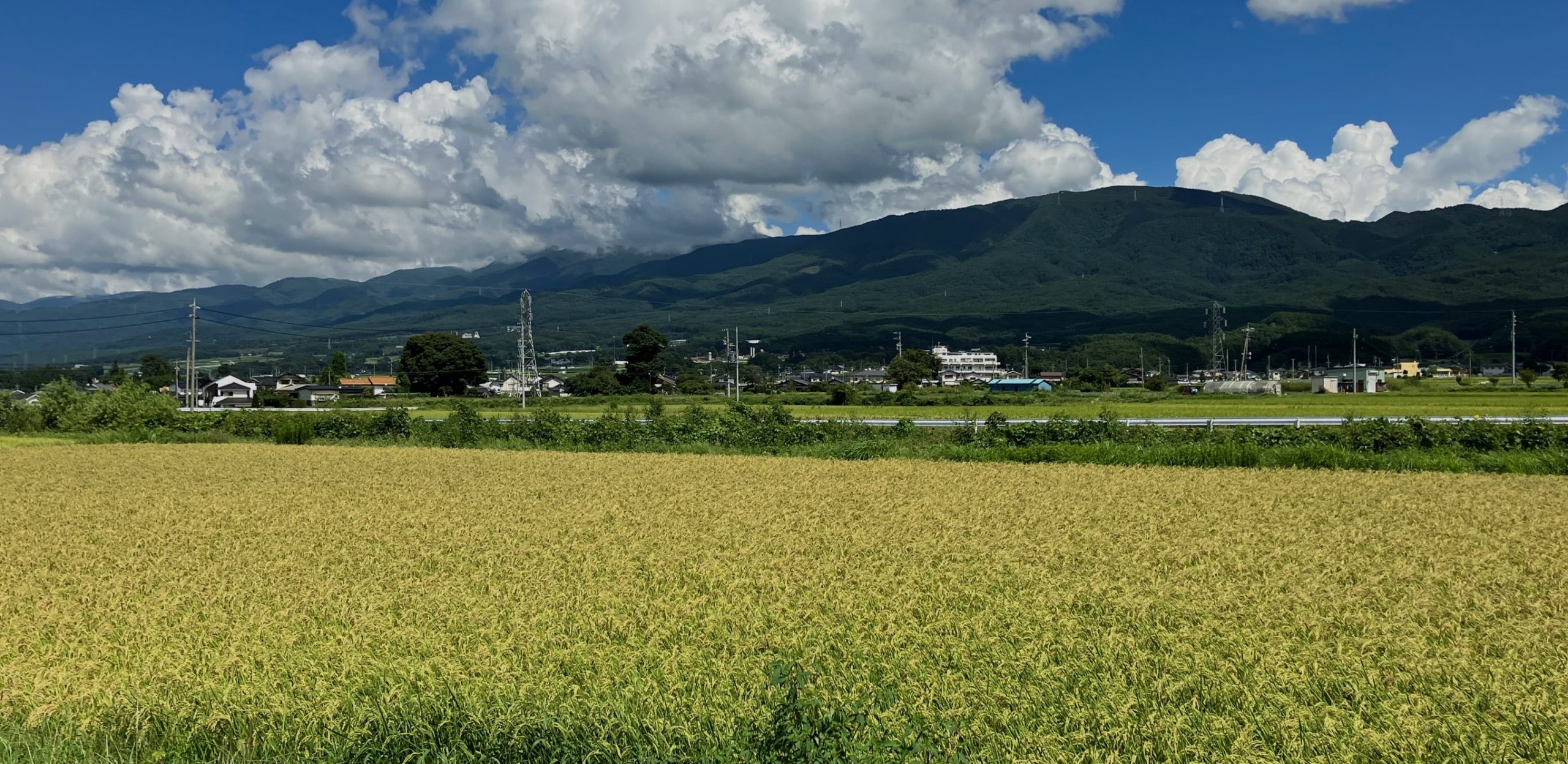和饗エコファーム株式会社 堺事業所 の写真