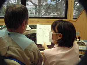公式案内画像