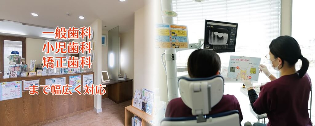 公式案内画像