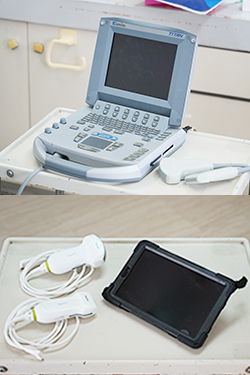 公式案内画像