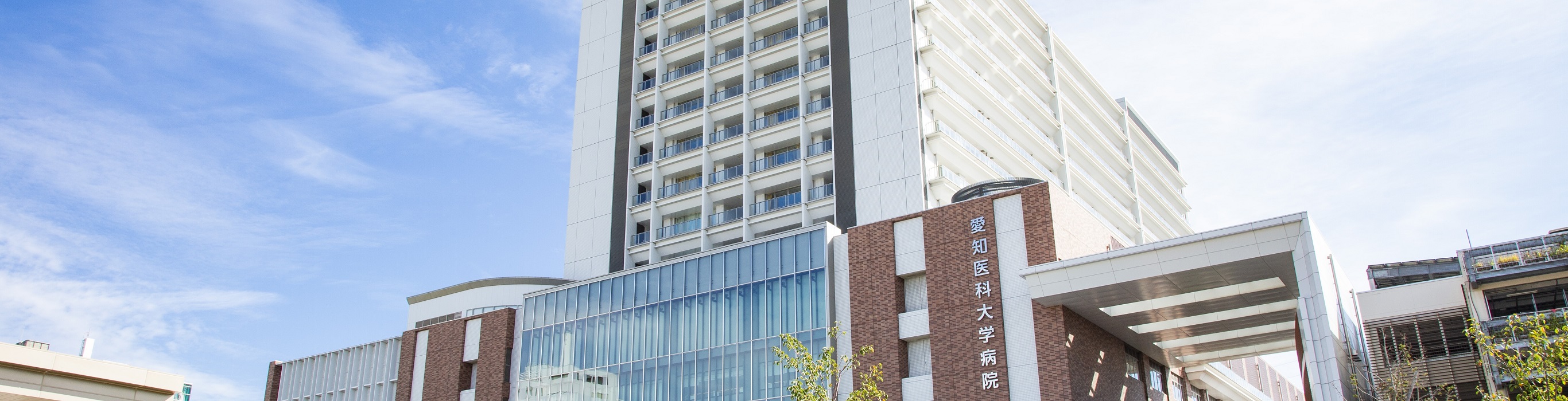 愛知医科大学病院の建物外観