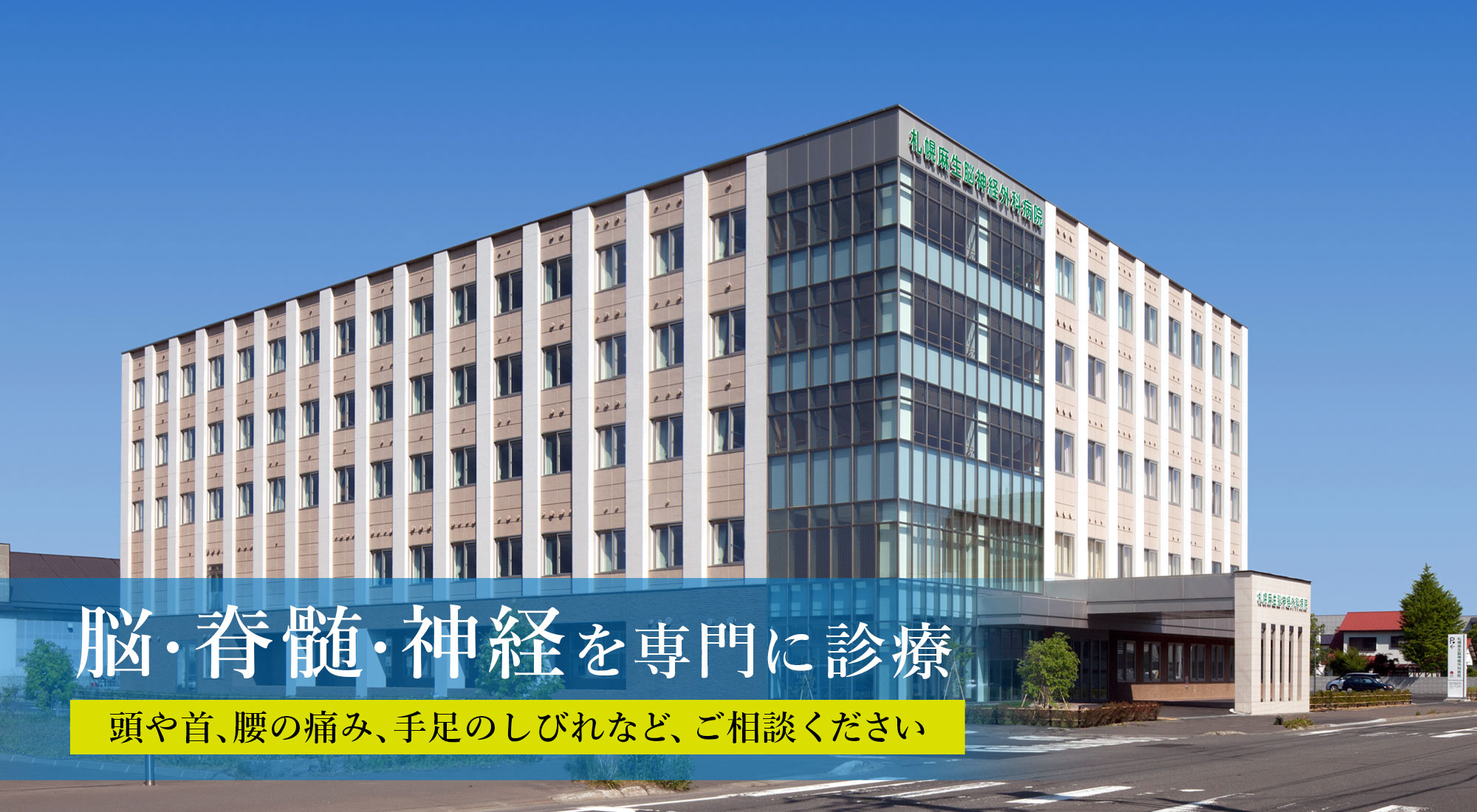 代表画像