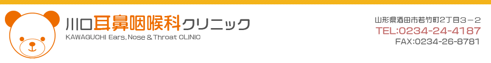川口耳鼻咽喉科クリニック