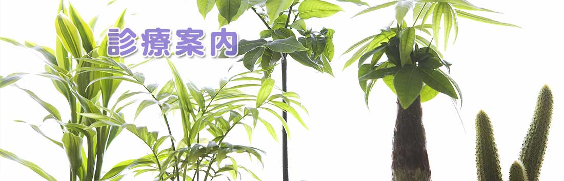 公式案内画像