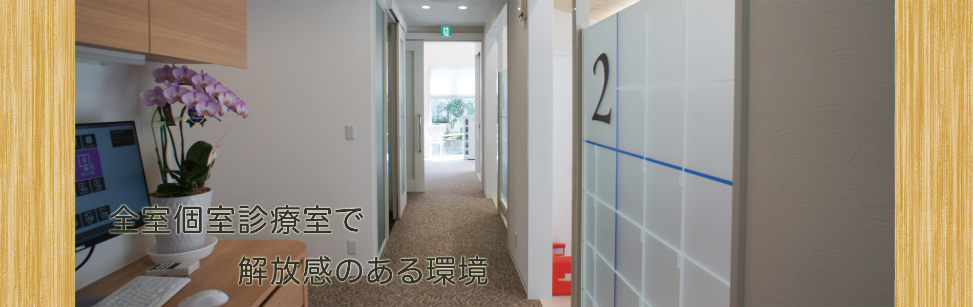 公式案内画像