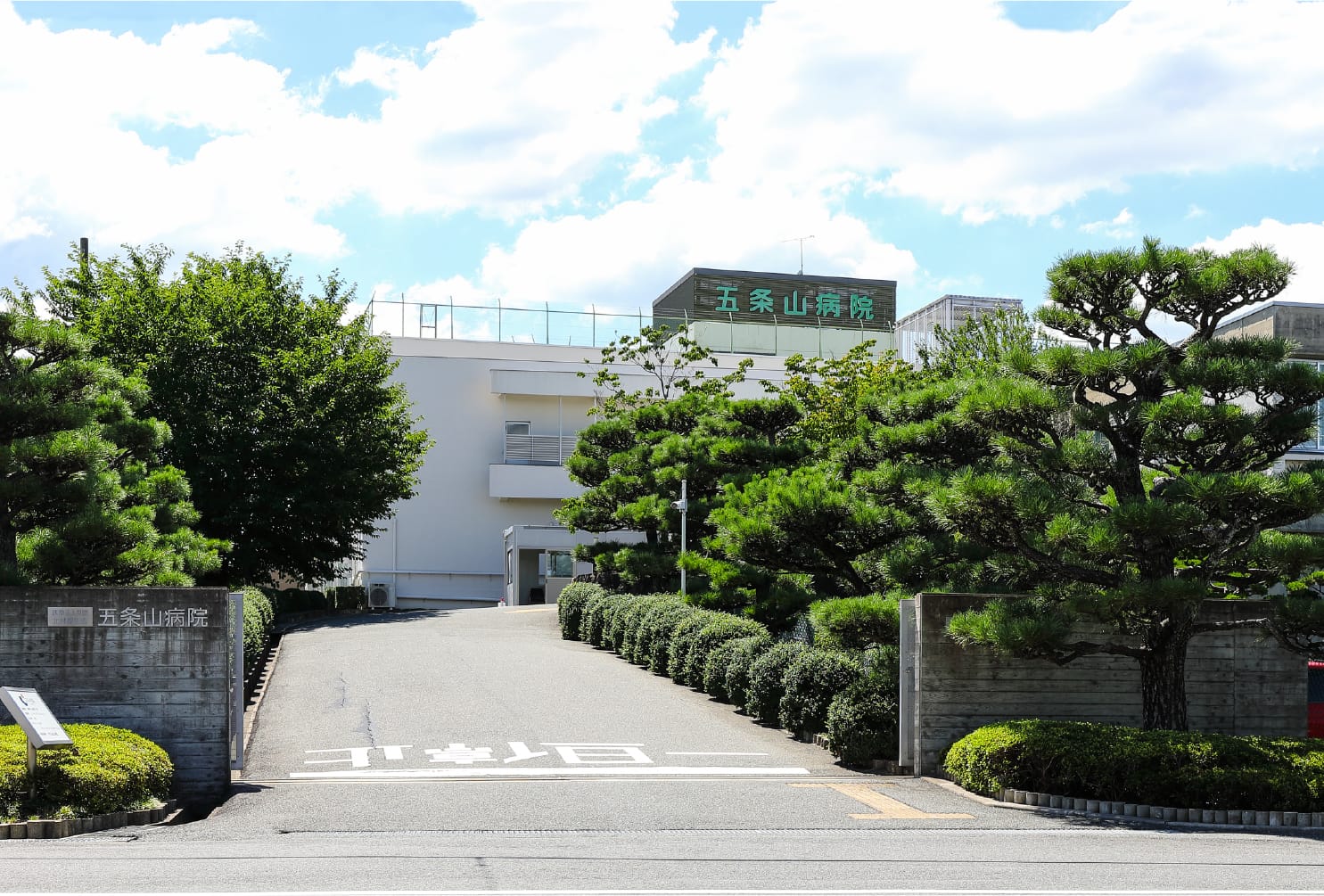 公式代表画像