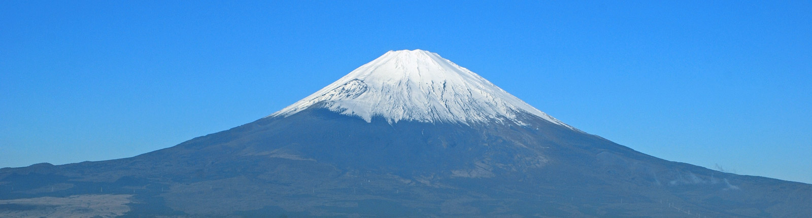 公式代表画像
