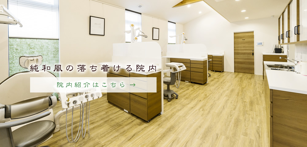 公式案内画像