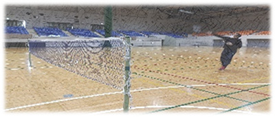 公式デイナイトケアページに掲載される体育館スポーツの活動風景