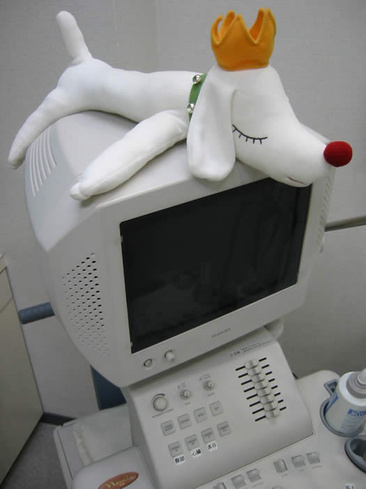公式案内画像