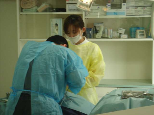 公式案内画像