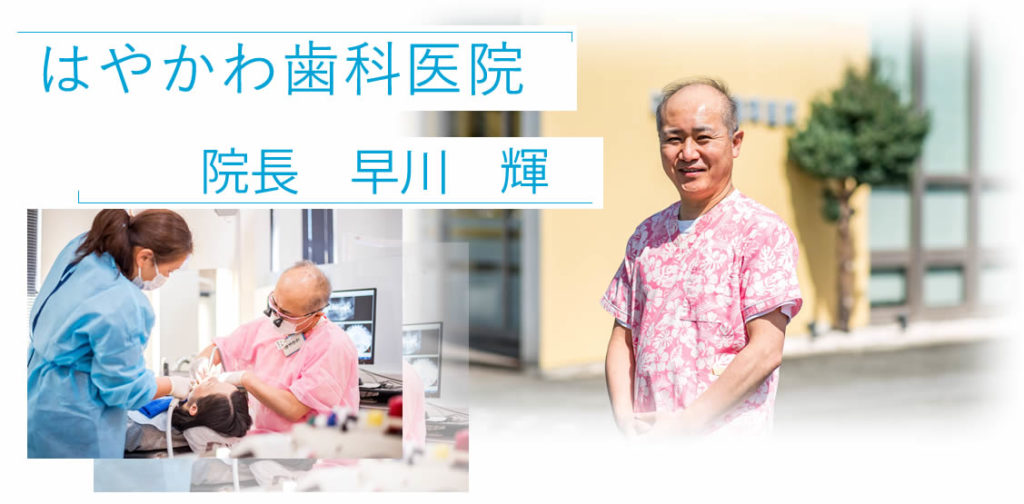 公式案内画像