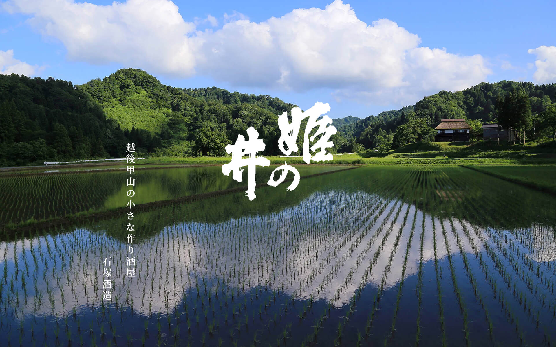 公式案内画像