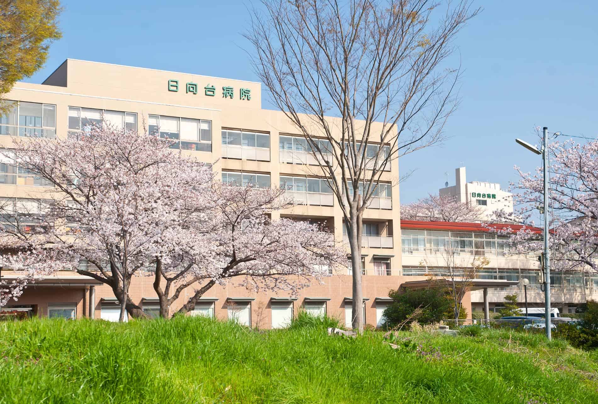 公式案内画像