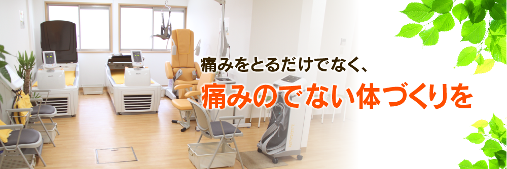 公式案内画像