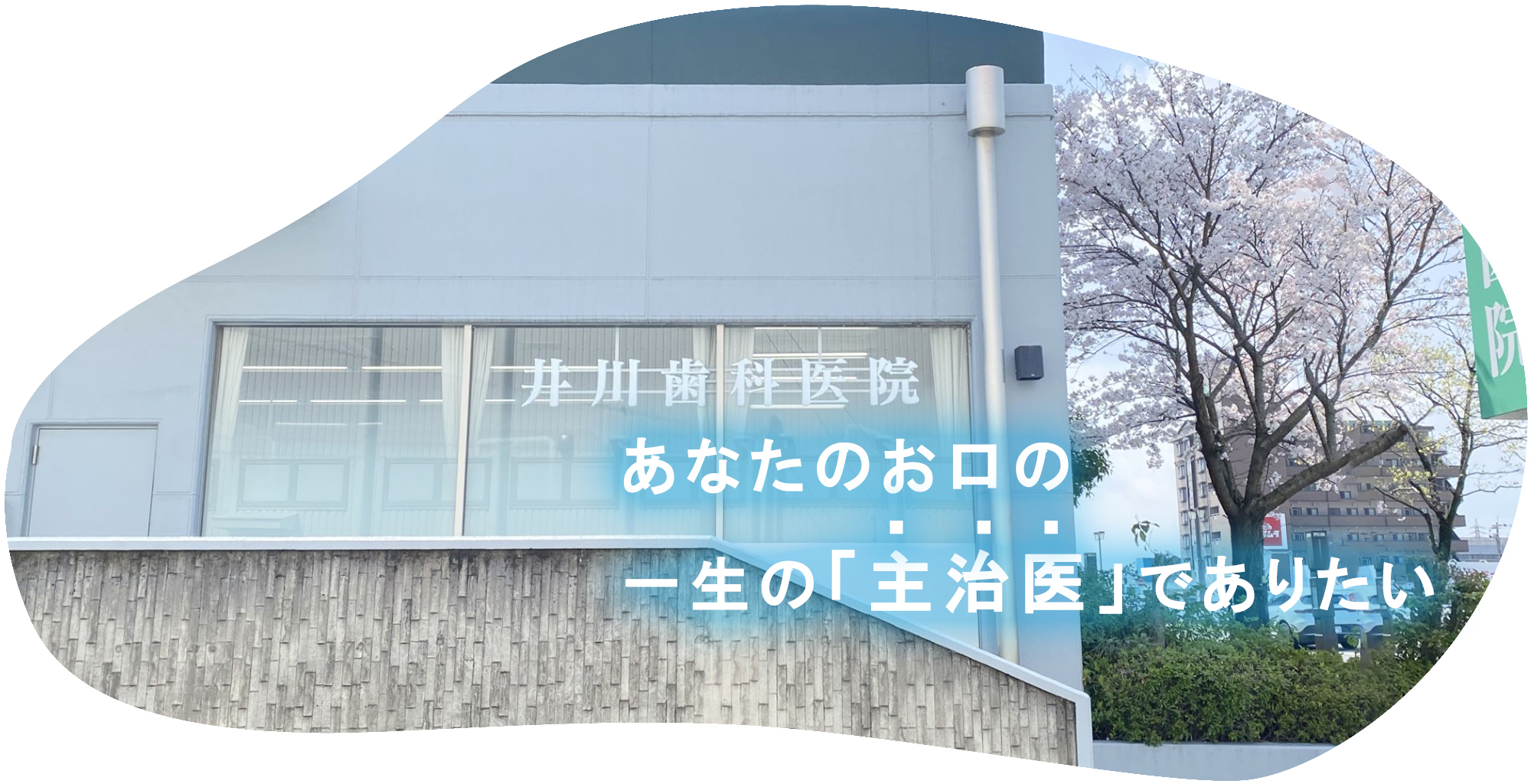 井川歯科医院 の写真