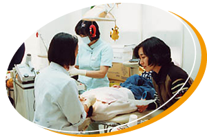 公式案内画像