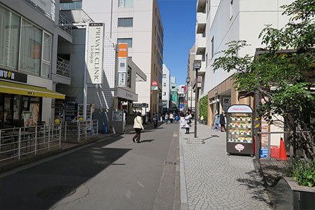 公式案内画像