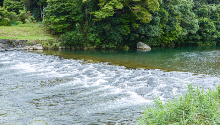 公式トップに掲載された五十鈴川の清流