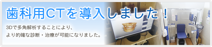 公式案内画像
