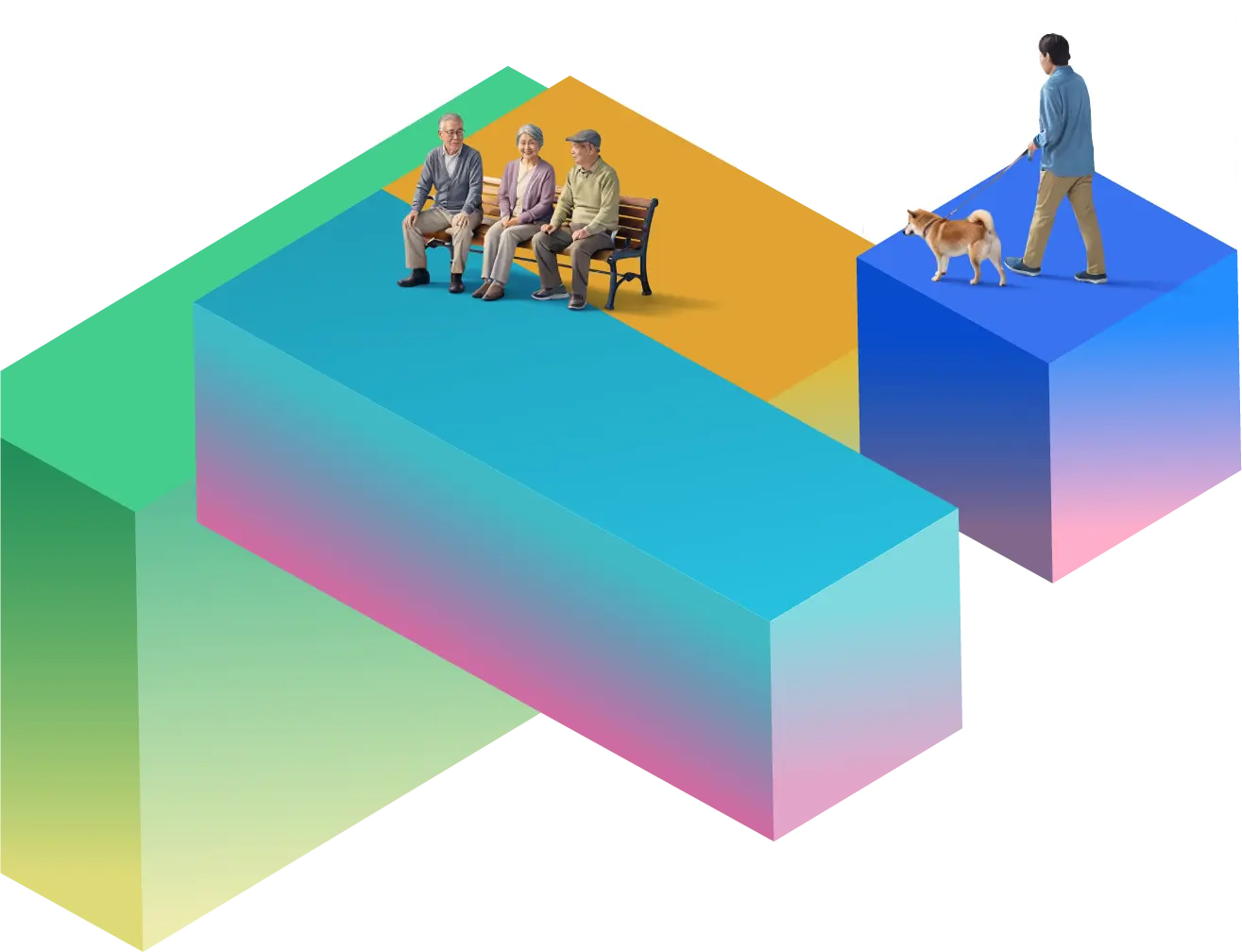 公式案内画像