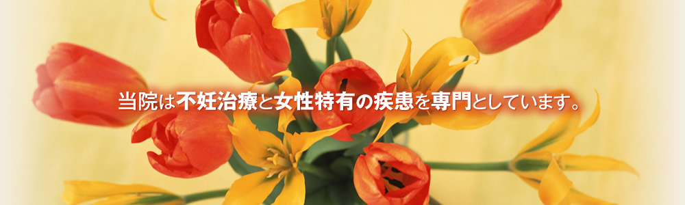 岩端医院 の写真